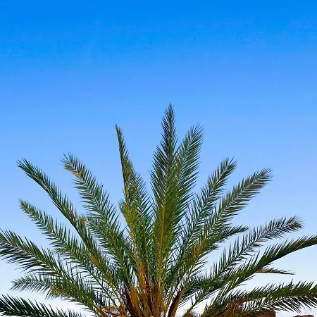 Parque Raquel * Πουέρτο Ρίκο