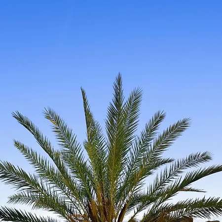 Parque Raquel Lägenhet