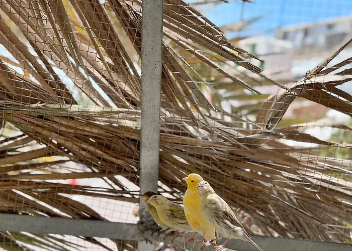 Parque Raquel 波多黎各