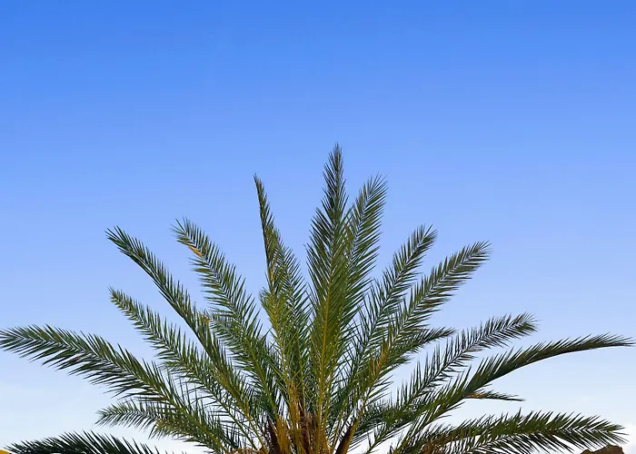 Parque Raquel 公寓